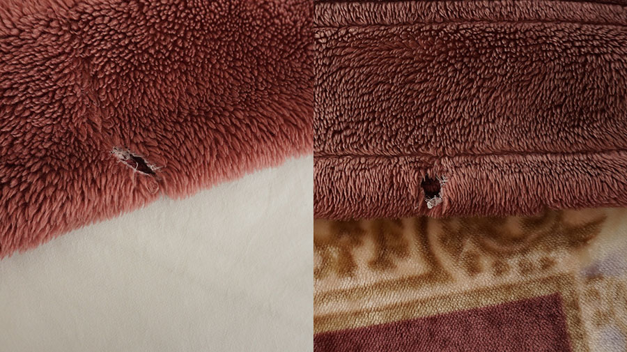 写真：毛布に穴