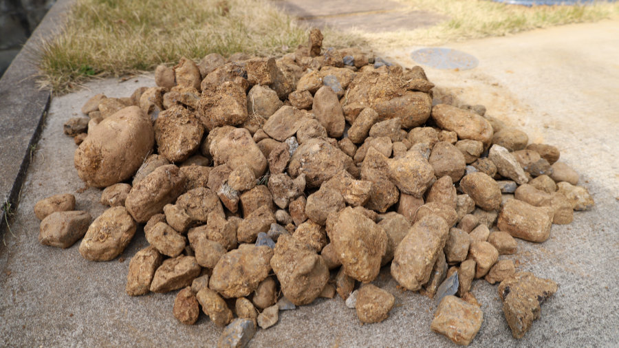 庭を掘ったら大量に出てきた石